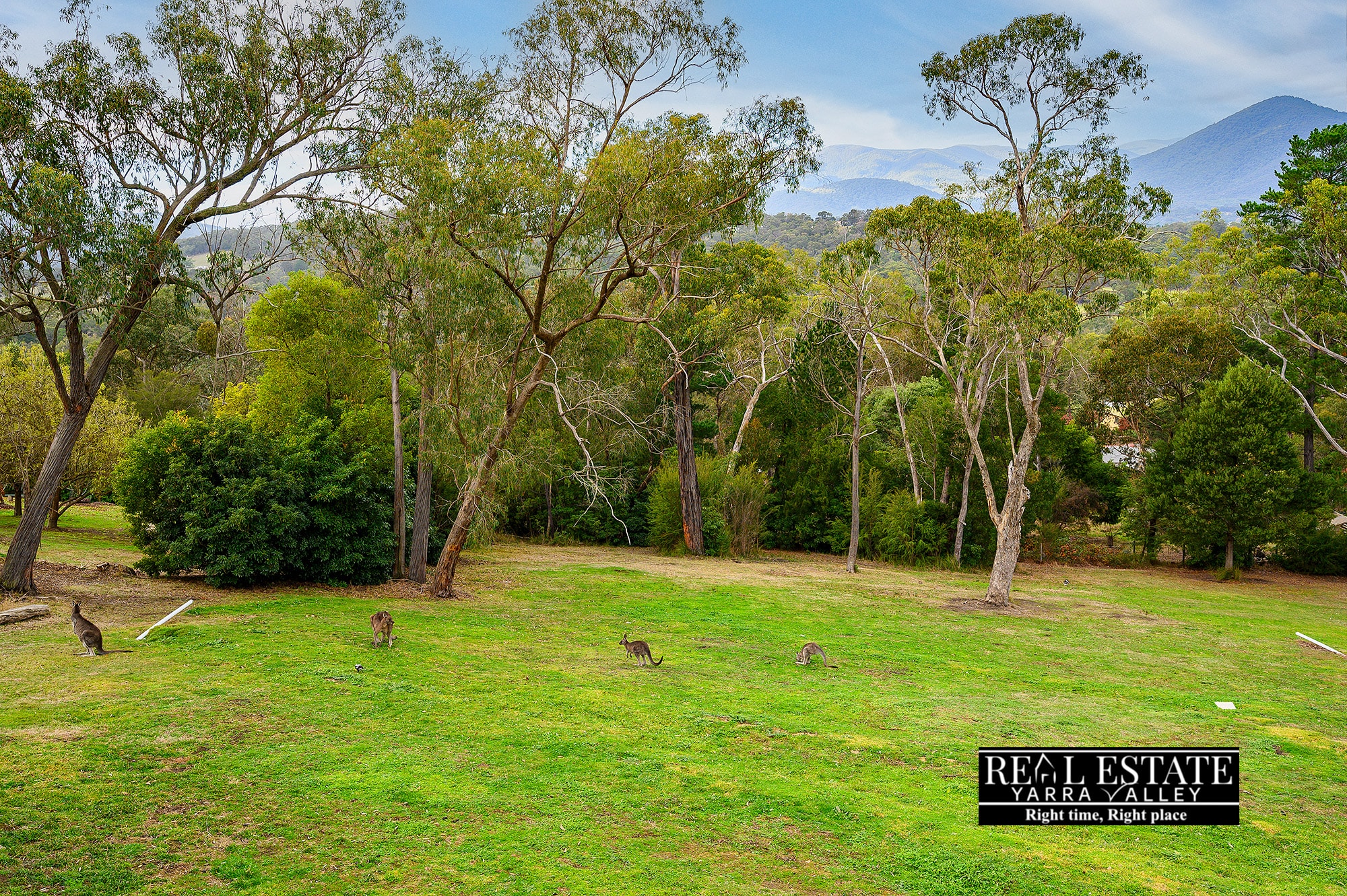 24 Hillcrest Grove, HEALESVILLE, VIC 3777 AUS