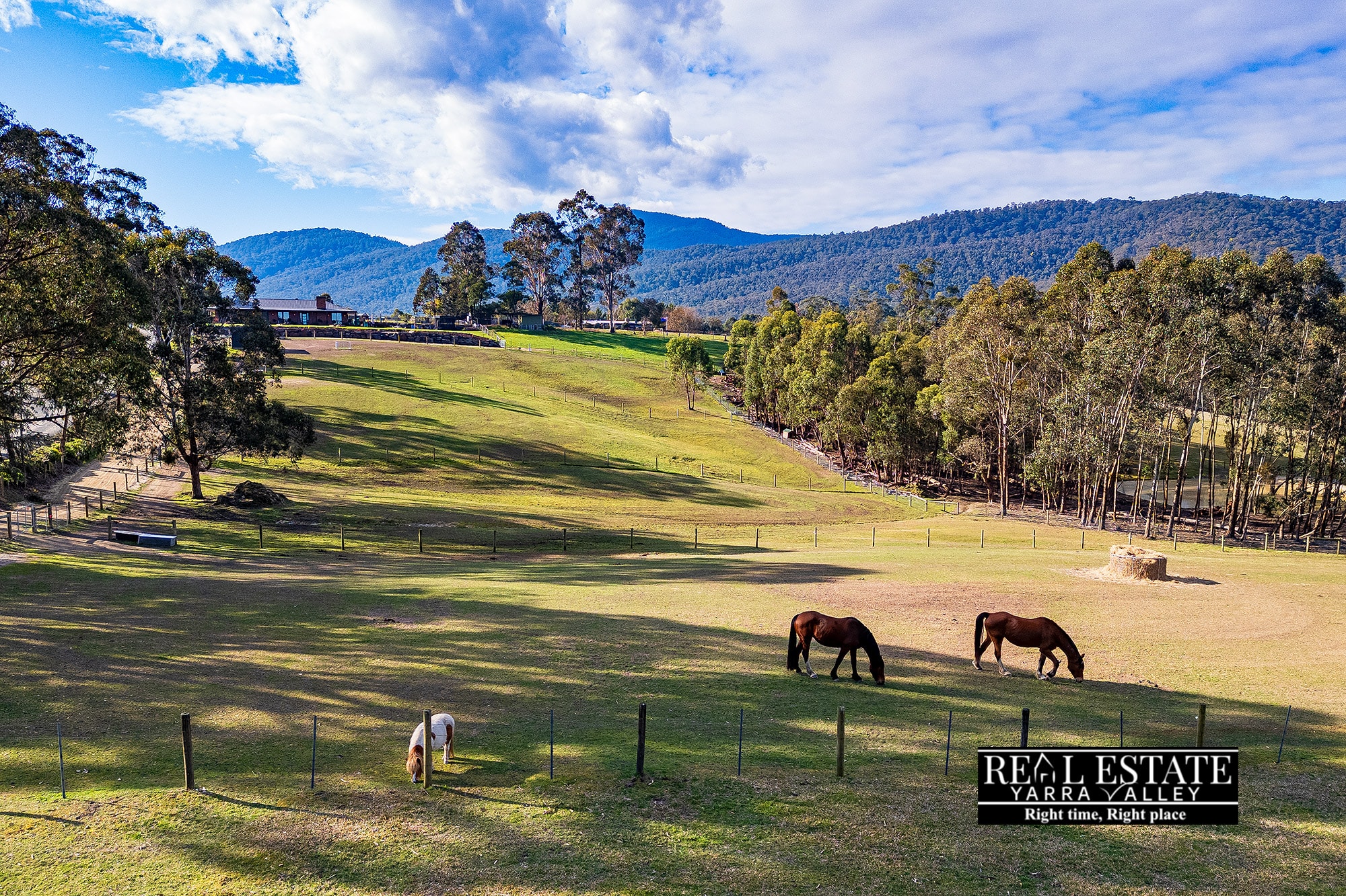 22 Ainsworth Avenue, CHUM CREEK, VIC 3777 AUS