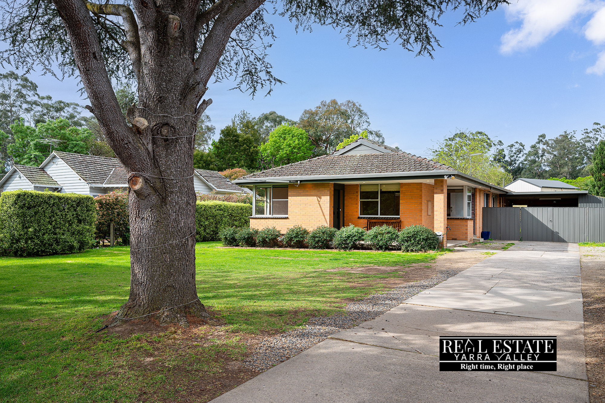 167466487 1760131580 6255 don 35 01