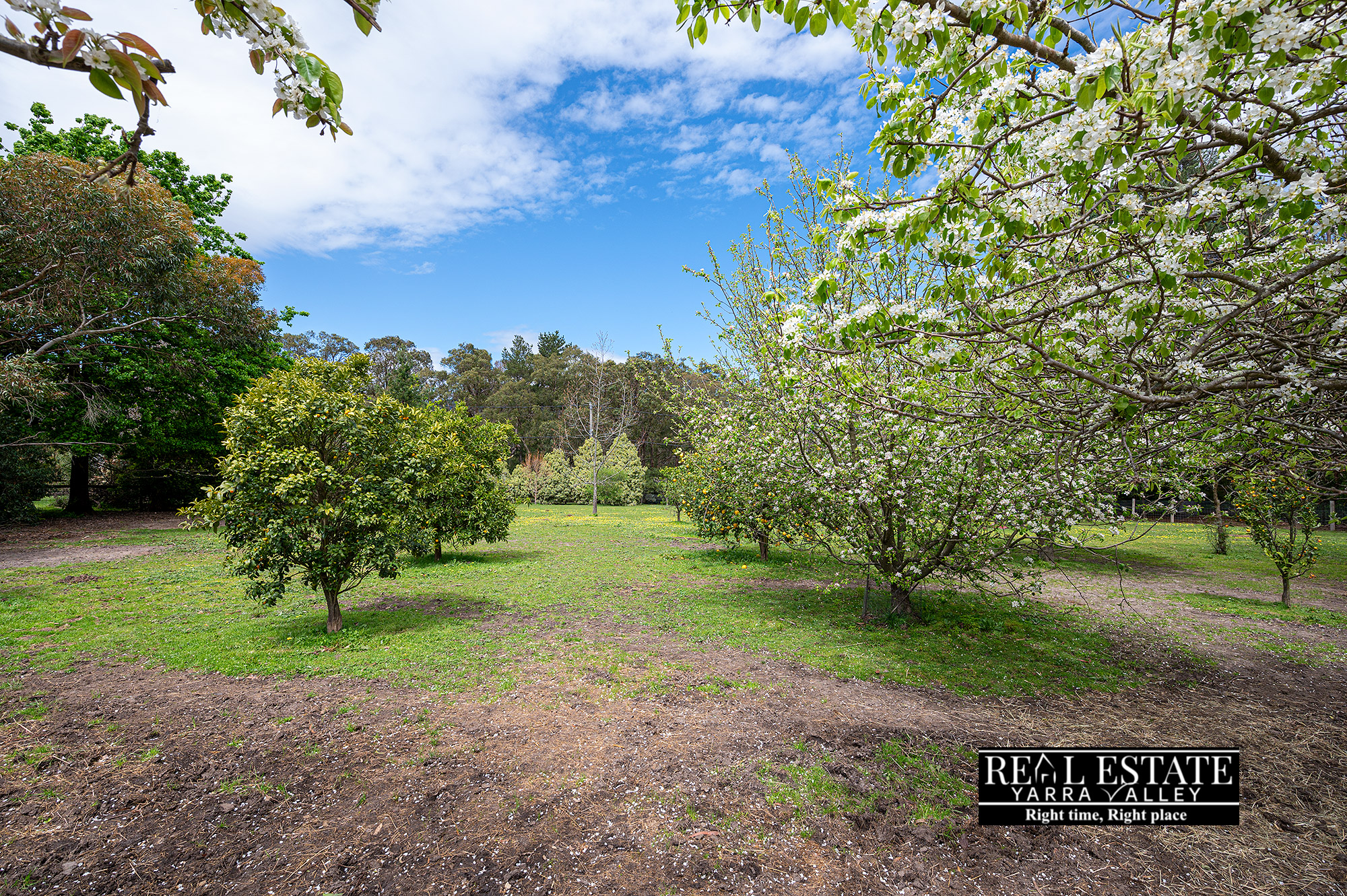 3 Toora Crescent, BADGER CREEK, VIC 3777 AUS