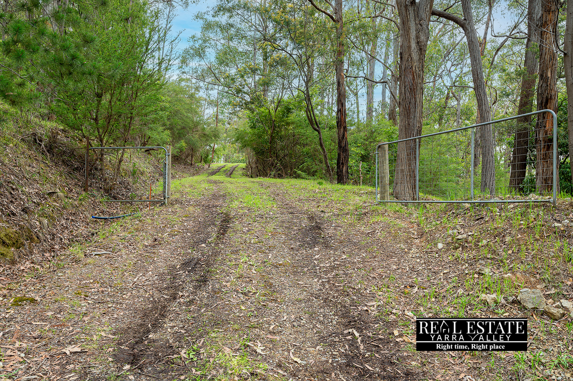 6 Cornelius Crescent, HEALESVILLE, VIC 3777 AUS