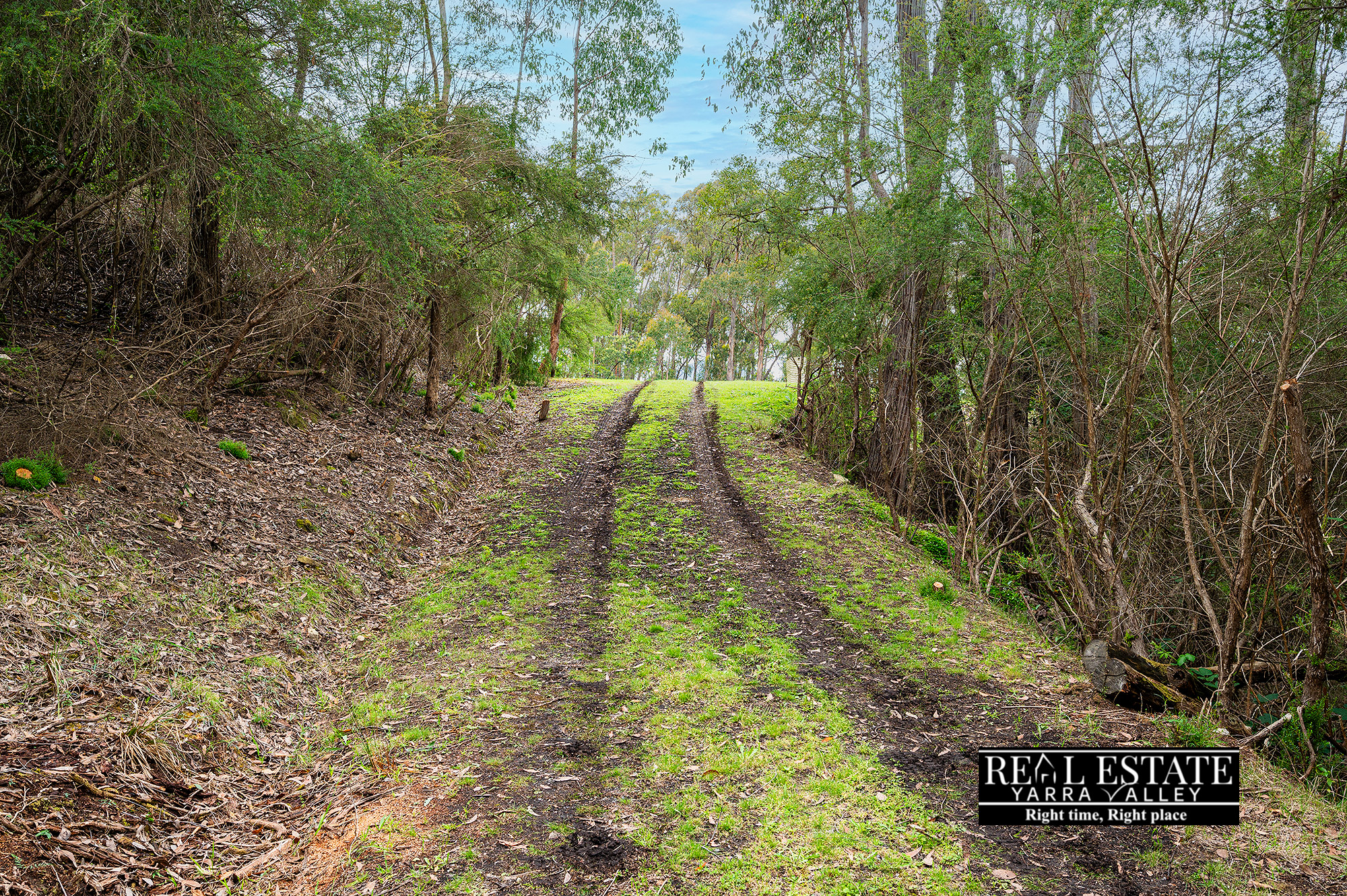 6 Cornelius Crescent, HEALESVILLE, VIC 3777 AUS