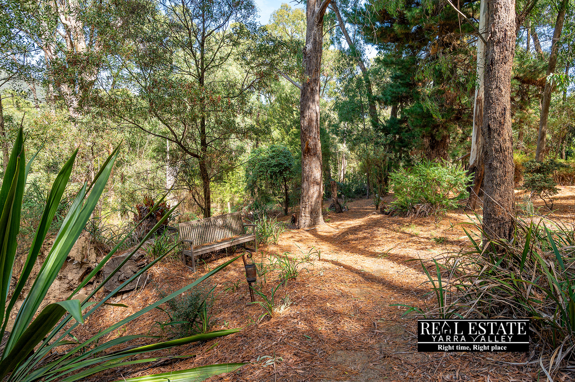 22 Dowd Road, HEALESVILLE, VIC 3777 AUS