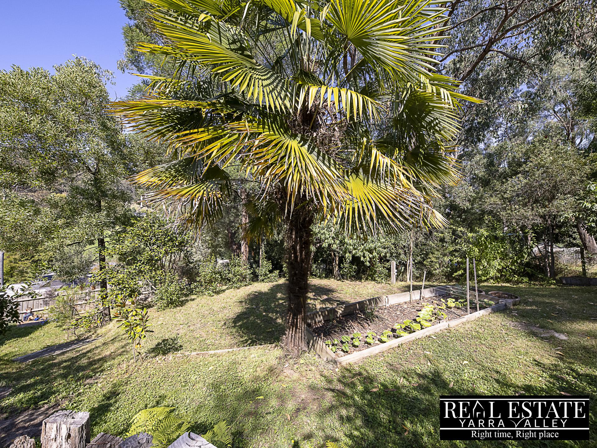 6 George Road, HEALESVILLE, VIC 3777 AUS