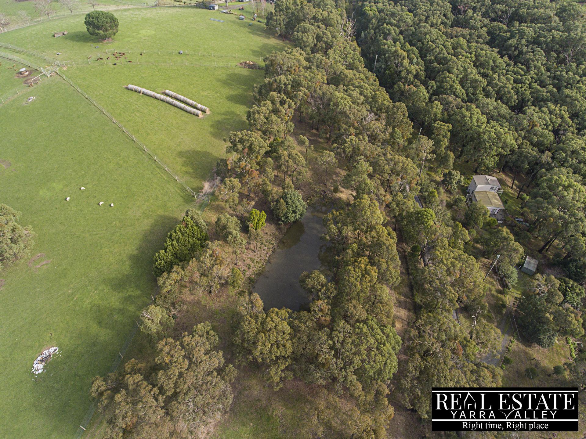 19 Heath Road, CHUM CREEK, VIC 3777 AUS