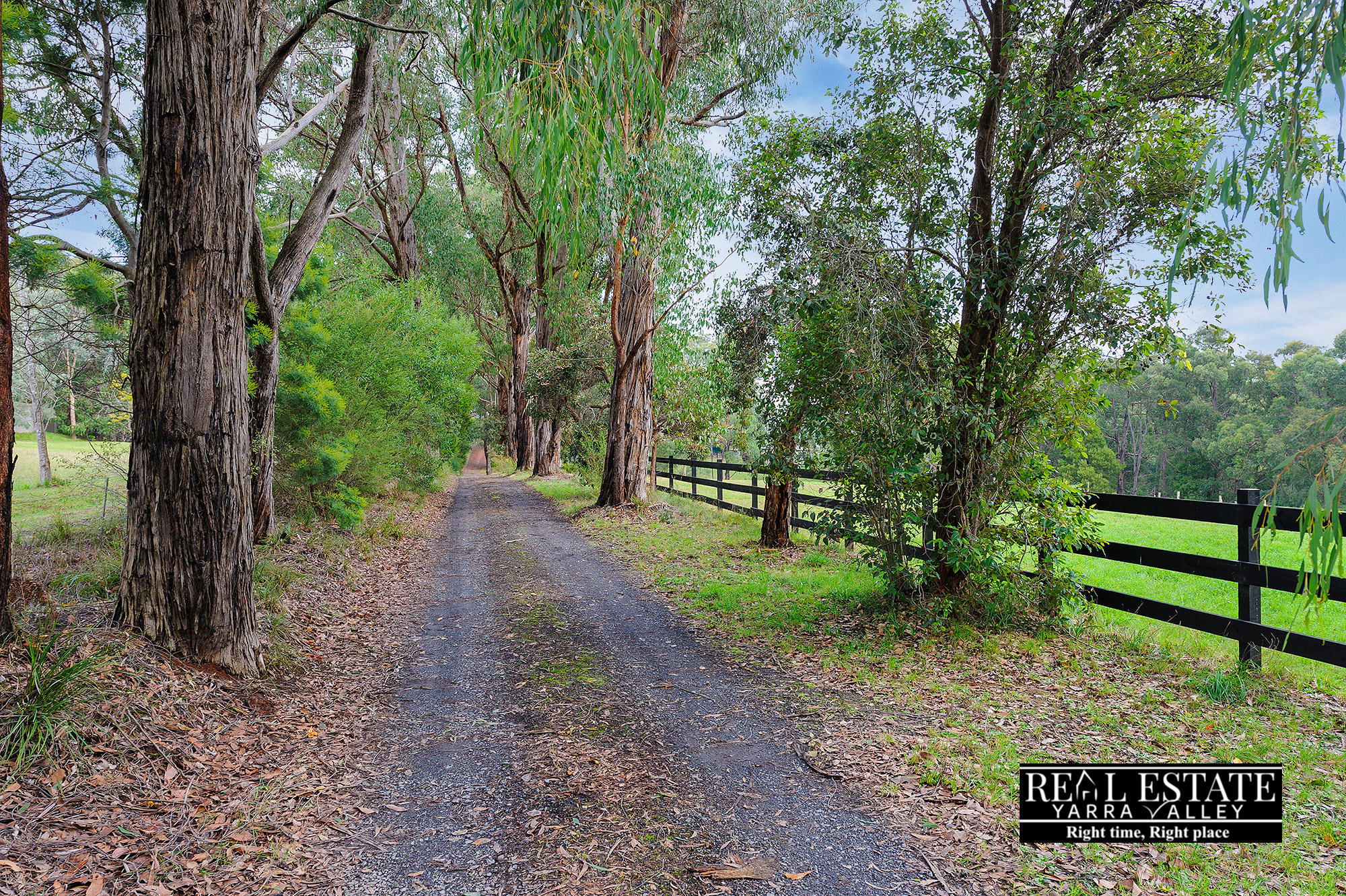 45 Worlley Road, HODDLES CREEK, VIC 3139 AUS