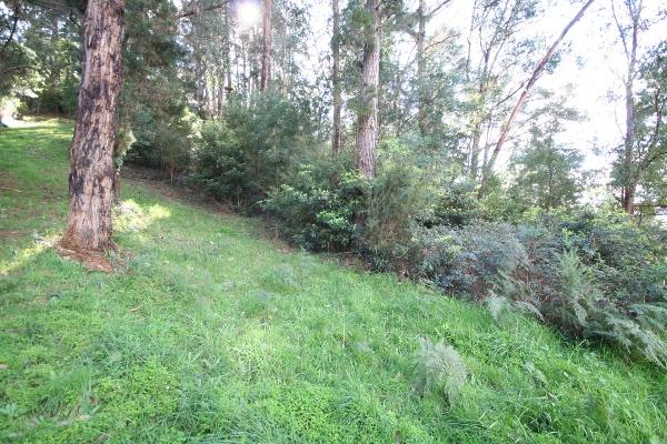 60 Graceburn Avenue, HEALESVILLE, VIC 3777 AUS