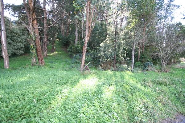 60 Graceburn Avenue, HEALESVILLE, VIC 3777 AUS