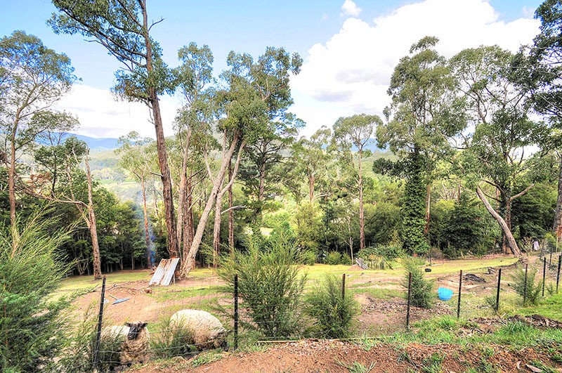 24 Juliet Crescent, HEALESVILLE, VIC 3777 AUS