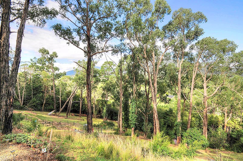 24 Juliet Crescent, HEALESVILLE, VIC 3777 AUS
