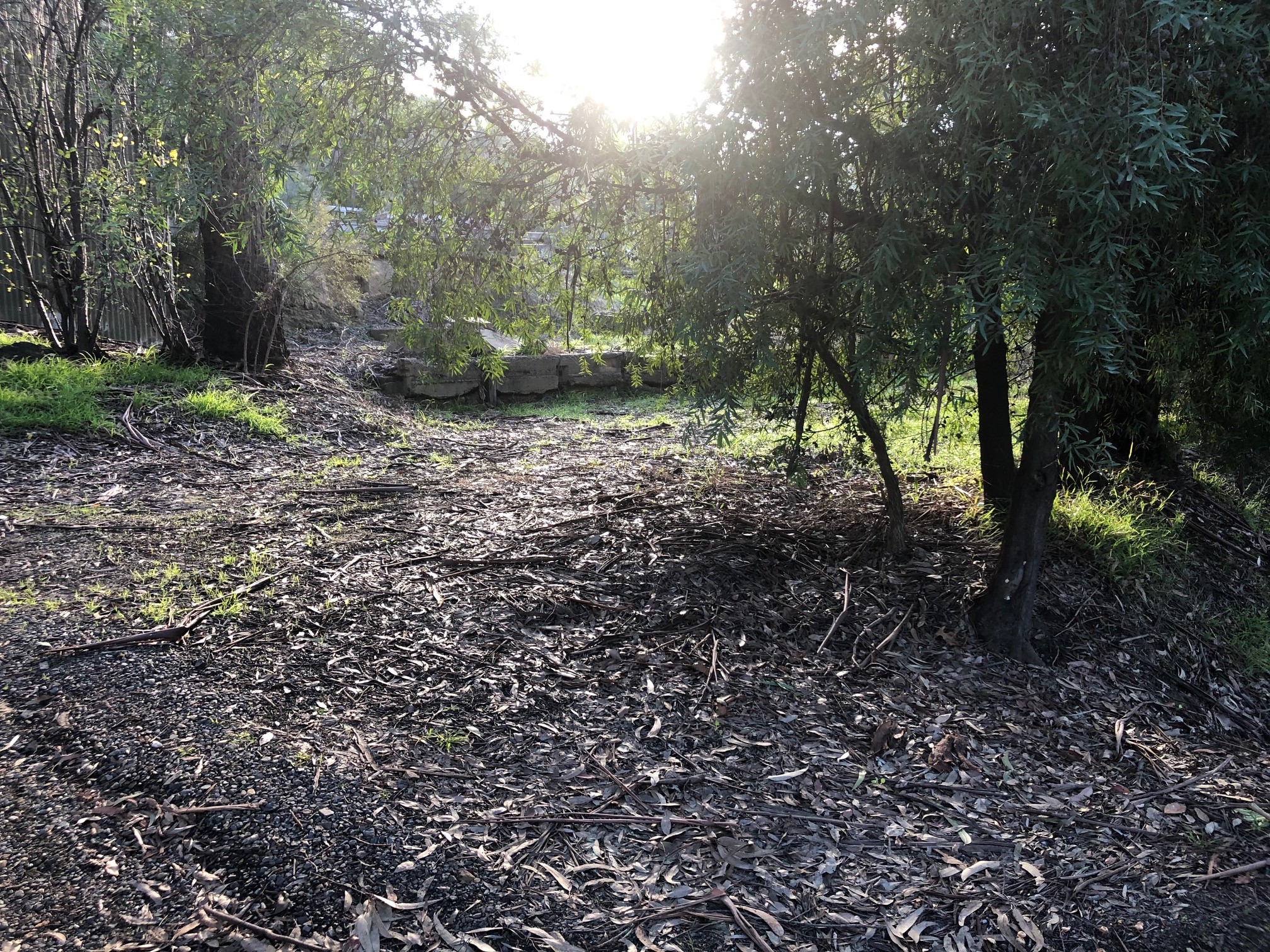 43 Chum Creek RD, HEALESVILLE, VIC 3777 AUS